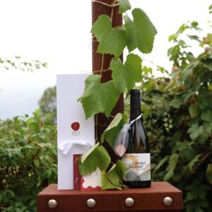 Chemin Faisant - Cadeaupakket