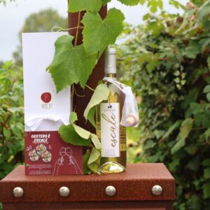 Escale Blanc- Cadeaupakket
