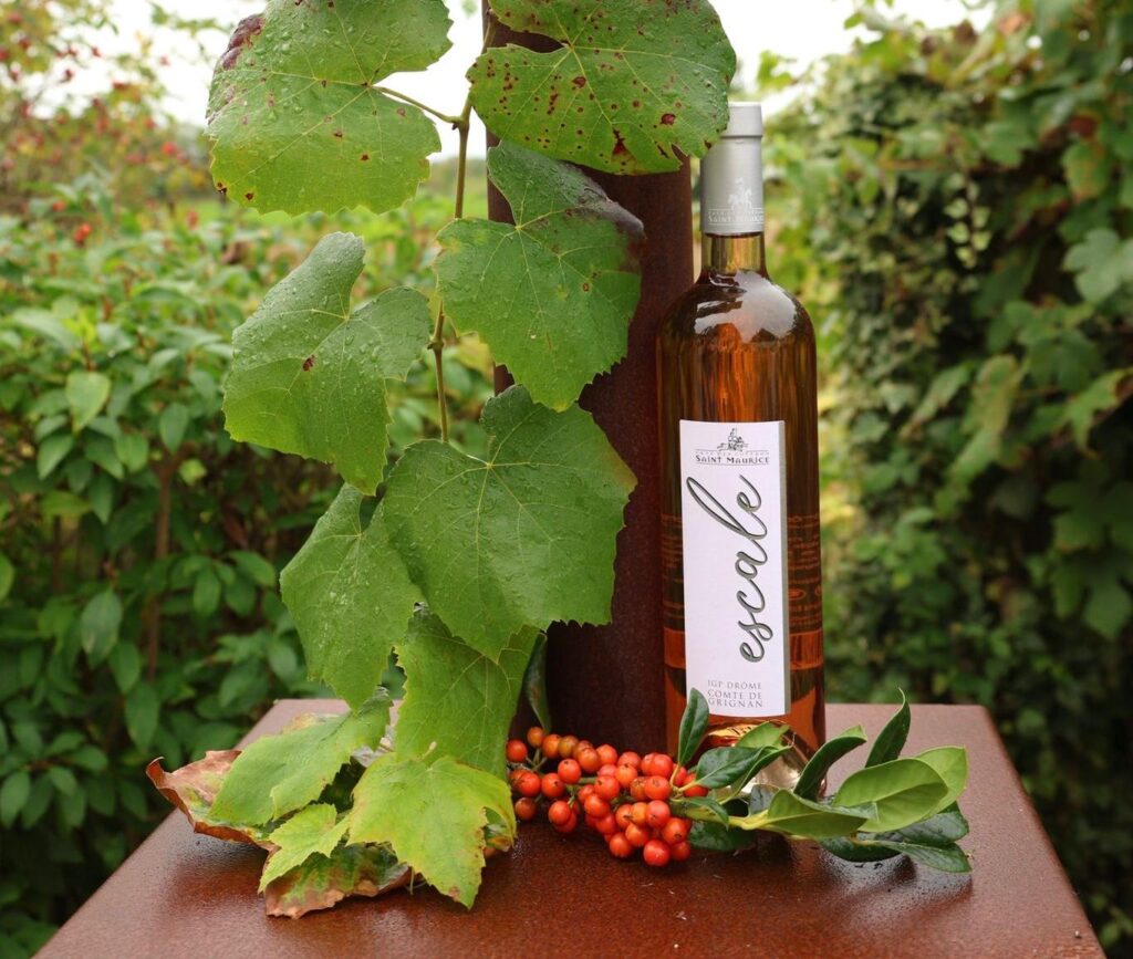 Escale Rosé