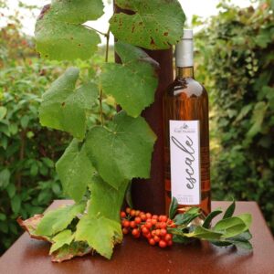 Escale Rosé