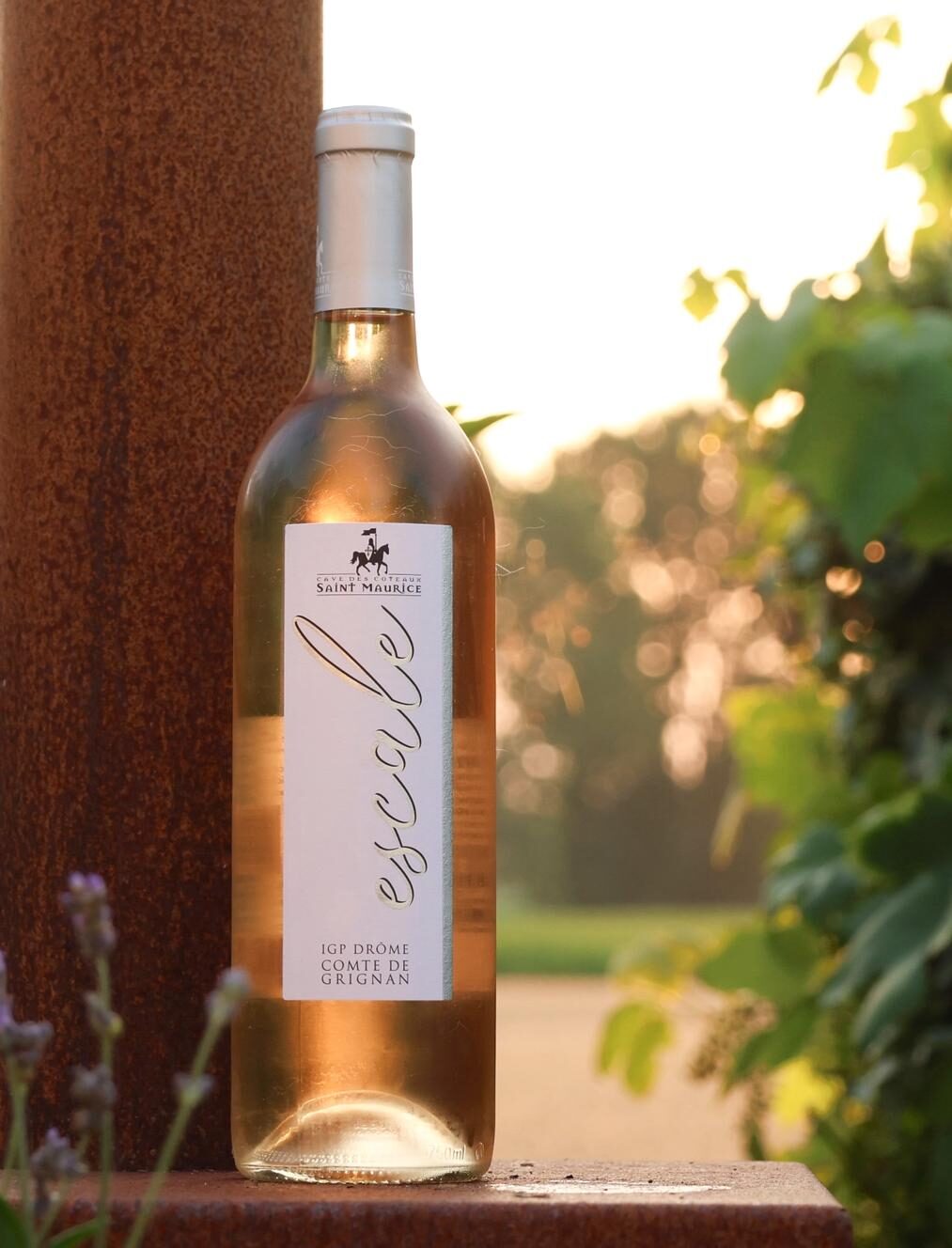 Escale Rosé