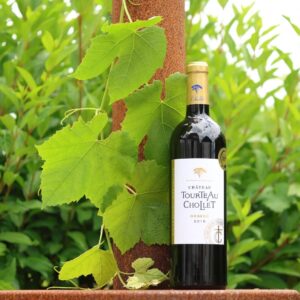 Château Tourteau Chollet 2016